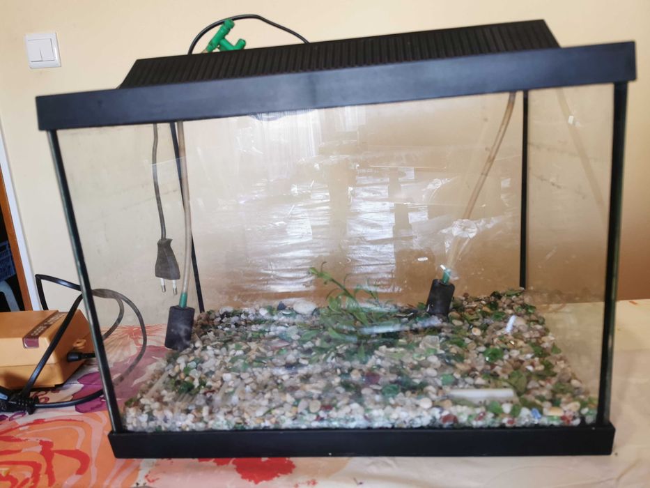 Vendo aquário com bomba de ar