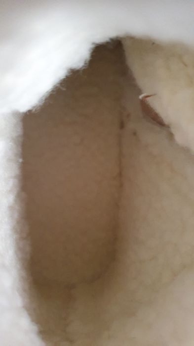 Buty nowe męskie ciepłe na zimę w rozmiarze 43