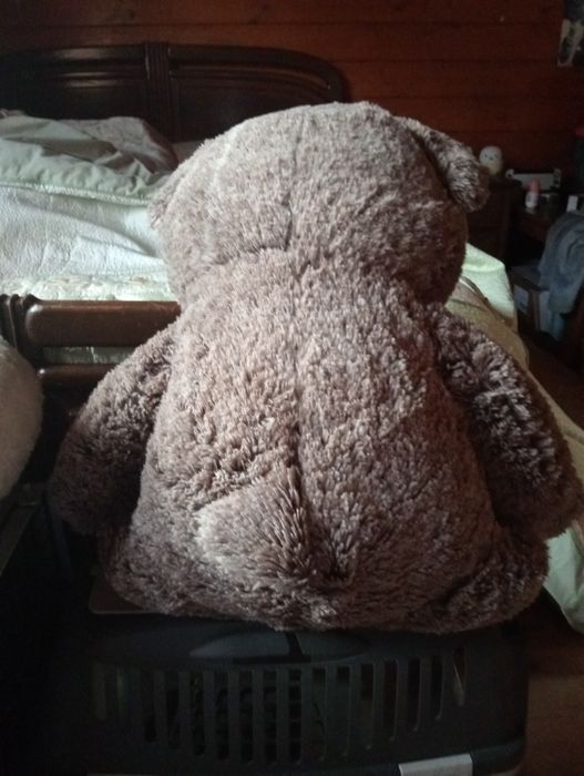 Medium-sized teddy bear64550347029505121