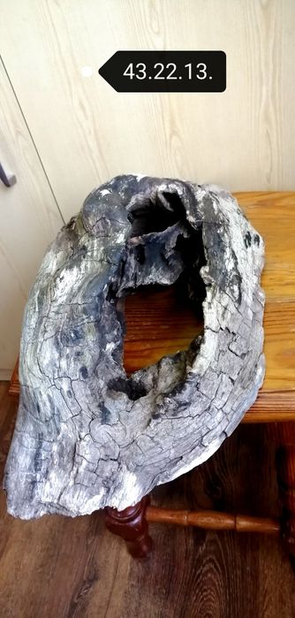 Коряга, Вимочена, виварена.