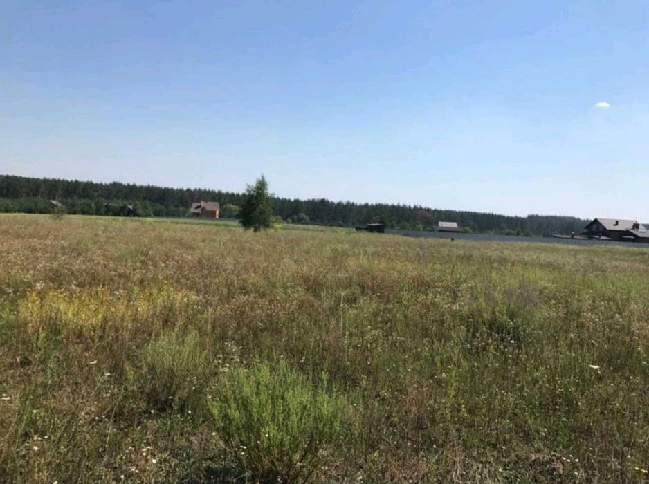 Продаж земельної ділянки 25 сот с.Лишня Київська обл  10000$