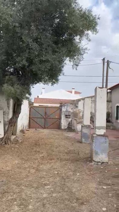 T0  + Palheiro c/ espaço exterior