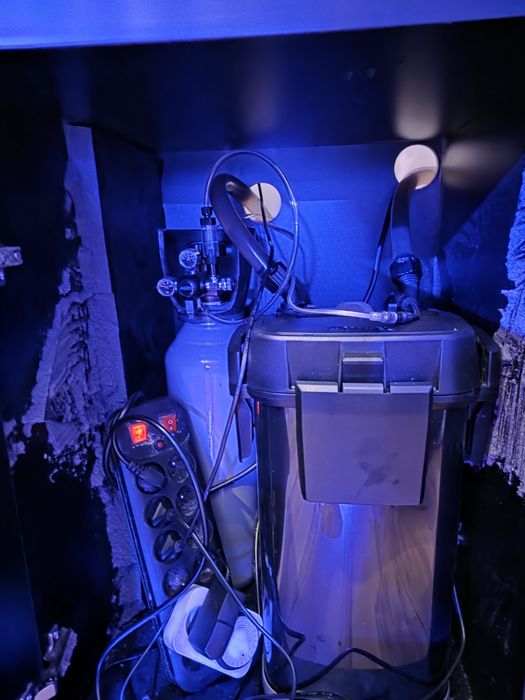 Akwarium z życiem 450l