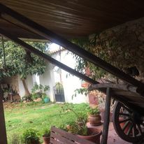 Carro de boi Beira Litoral
