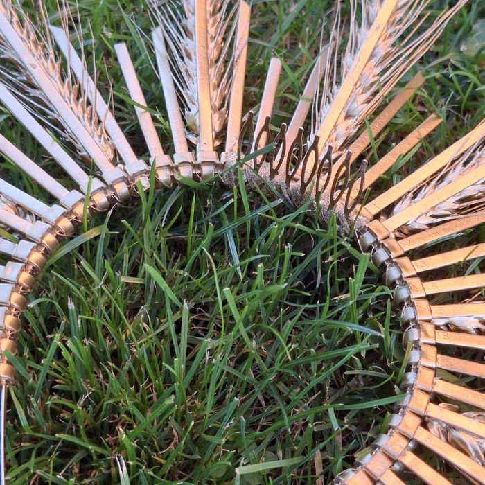 Обруч вінок, золота корона зі злаків.