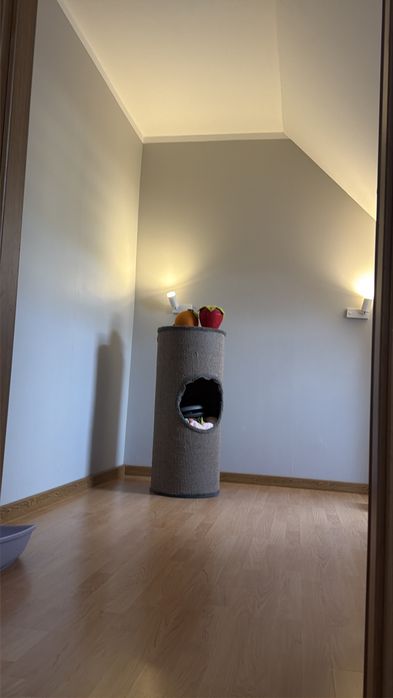 Zdjęcie 8