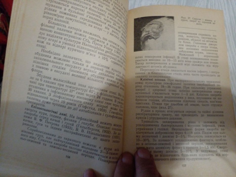 Советский справочник по лечению птиц