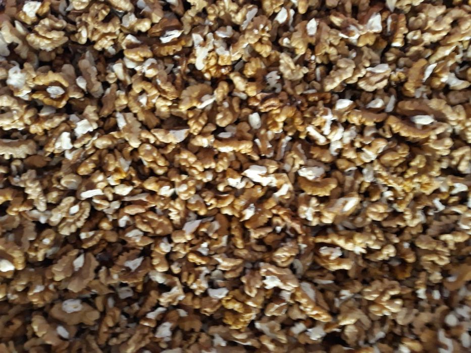 Orzechy włoskie świeżo łuskane