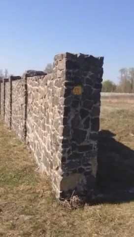 Рудня  земля 65 соток .