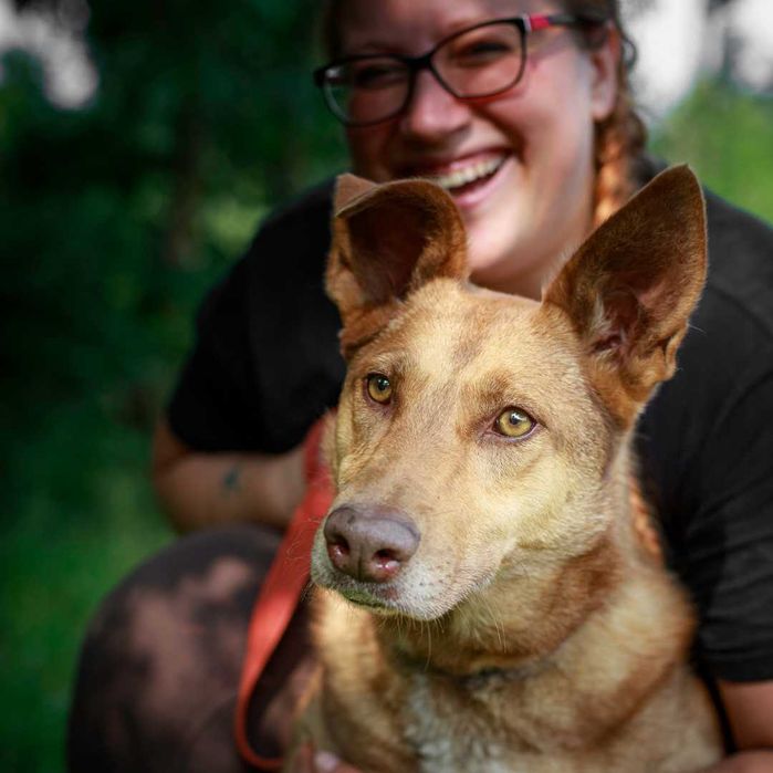 Przyjazna Belcia czeka na nowy dom!