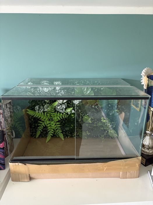 Terrarium szkalne