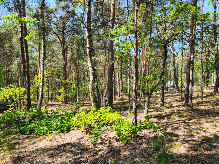 Sprzedam piękną działkę na Osiedlu Wilga w świetnej lokalizacji z decyzją o pozwoleniu na budowę - View 3