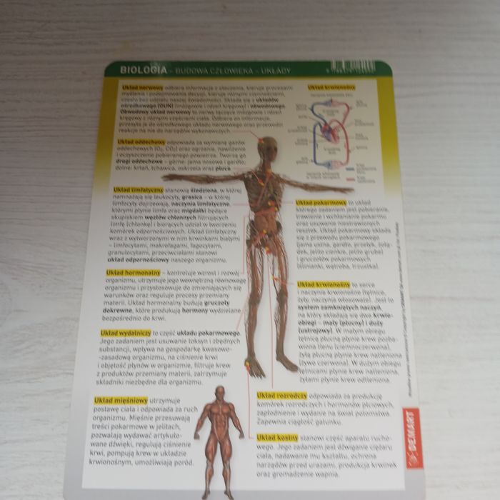Szablon z biologi