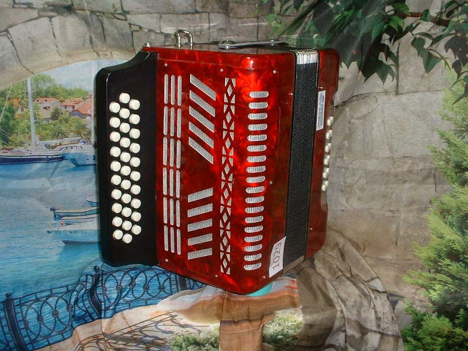 Promoção de Acordeões de concertinas