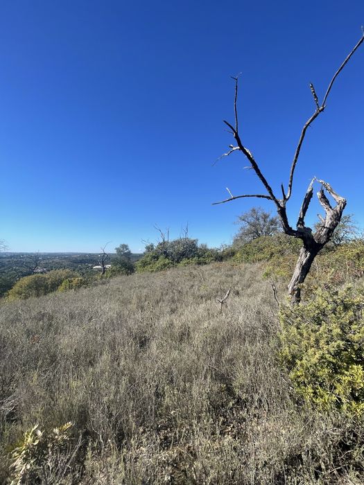 Terreno Rustico Boliqueime
