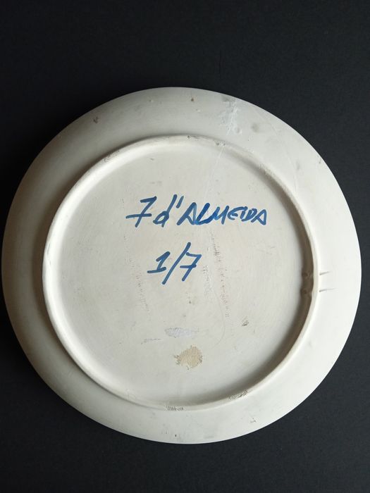 Camaleão camuflado 7d'Almeida