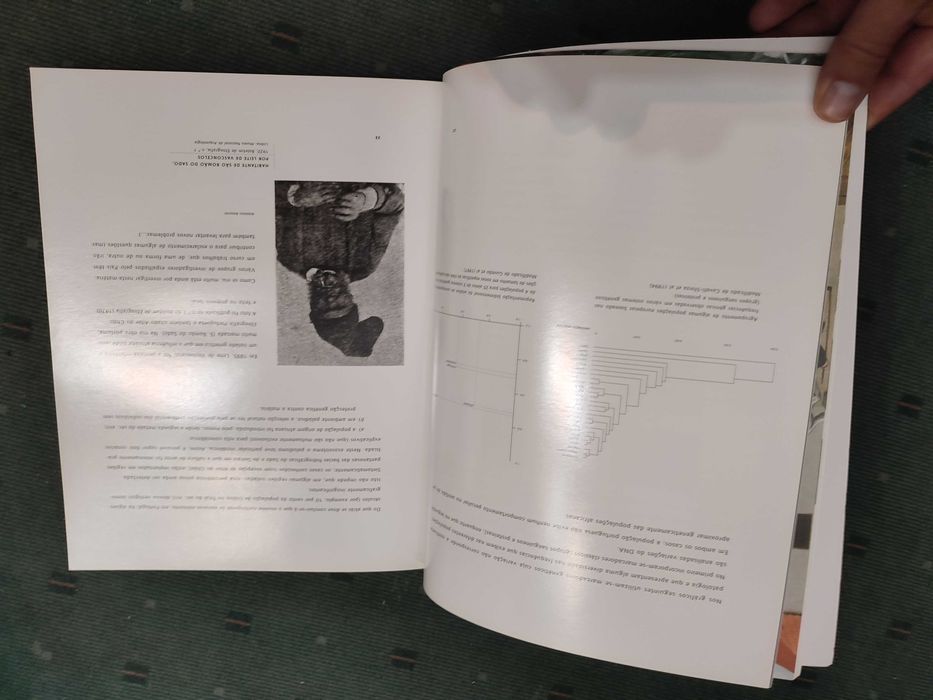 Os Negros em Portugal - Sécs XV a XIX