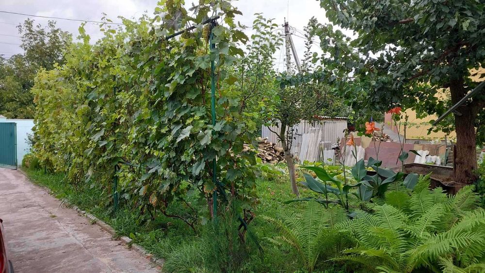 Продаж  будинку . 12сот. землі.