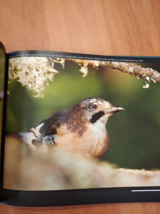 Livro "A paixão pelas aves desde Trás-os-Montes" (2015)