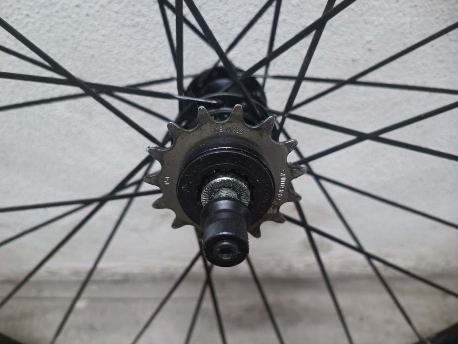 Rodas Blackjack WarmUp 26"