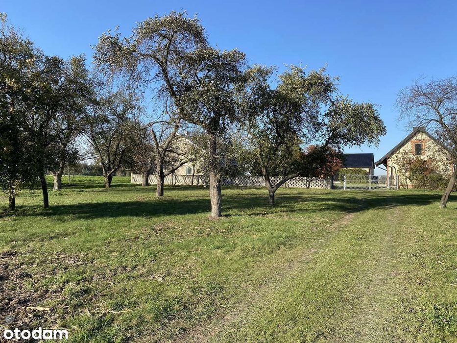 Wyjątkowe Siedlisko z potencjałem — Karszew k. Uniejowa 1,3 ha - Widok 3