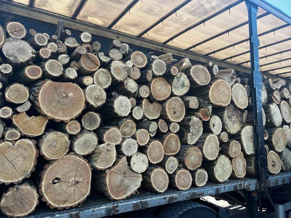 Дрова для отопления акация дуб ясень клён берест