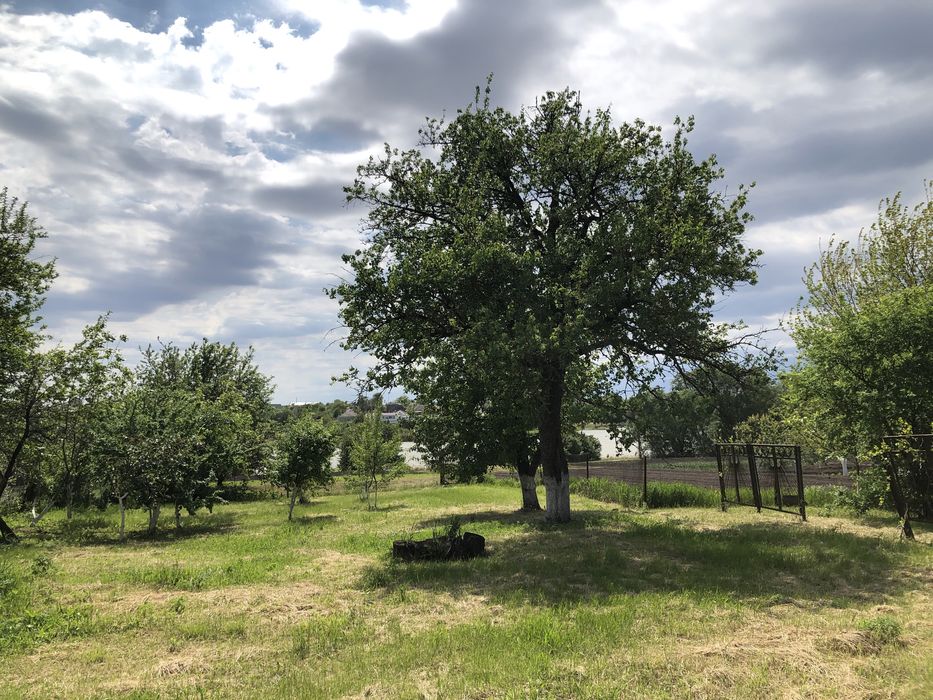 Будинок біля річки смт Чорнобай