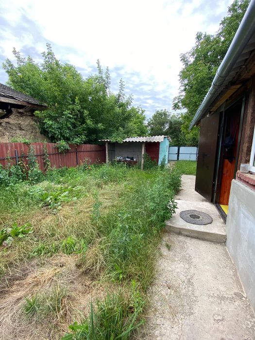 Продаж будинку в селі Коханівка