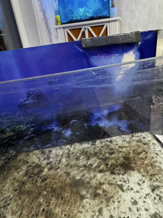 Akwarium panoramiczne