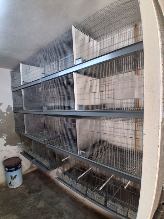 Gaiolas para aves