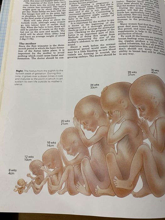 Livro Atlas of Anatomy