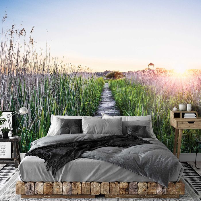 Fototapeta Trawa Plaża Natura Słońce 3D Na Twój Własny Rozmiar + KLEJ