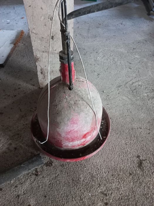 Bebedouro suspensão galinhas