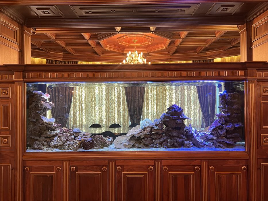 Терміново продам морські корали