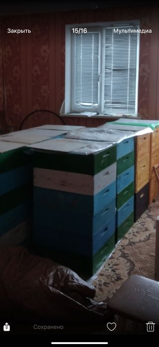 Продажа пчел, инвентарь