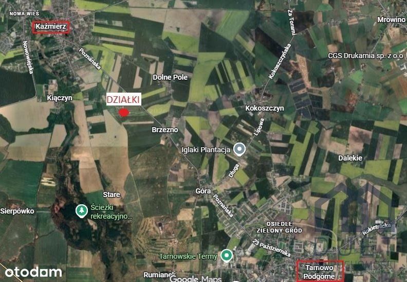 Działki z wydanymi Dwz -dwulokalowe- część.uzbroj - Widok 6