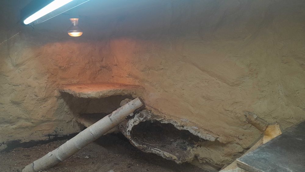 Terrarium 144x64x78cm jaszczurka