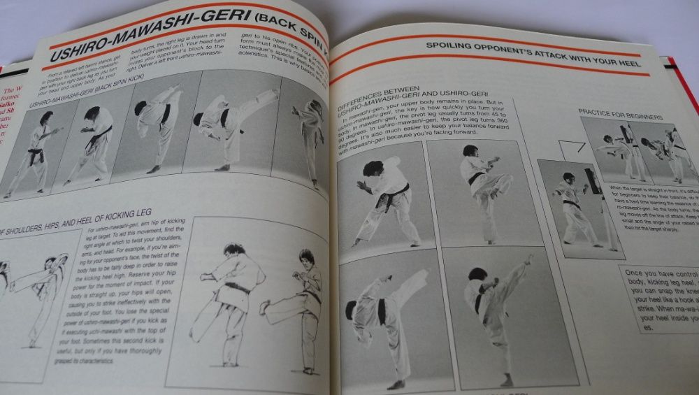 SHIGERU OYAMA - Perfect Karate /Ashihara, Bruin, Collins, Cook, Fitkin