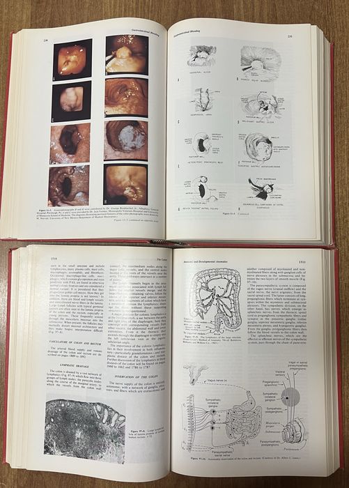 Gastrointestinal disease. Vol. 1, 2. Шлунково-кишкові хвороби, 2 томи