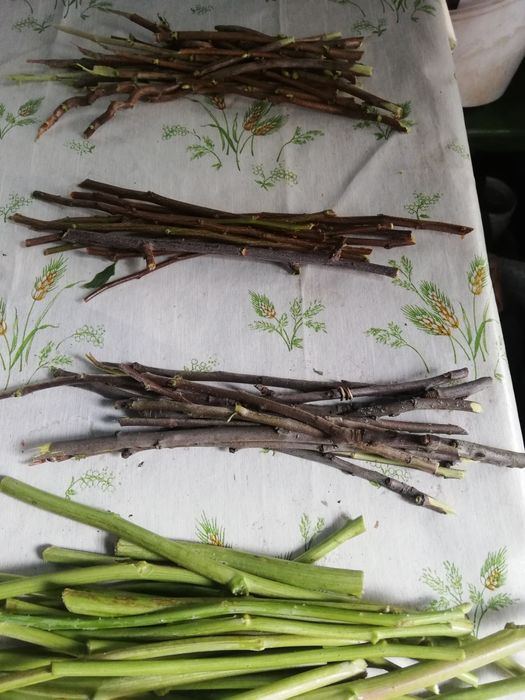 Продам чай с веточек малины вишни