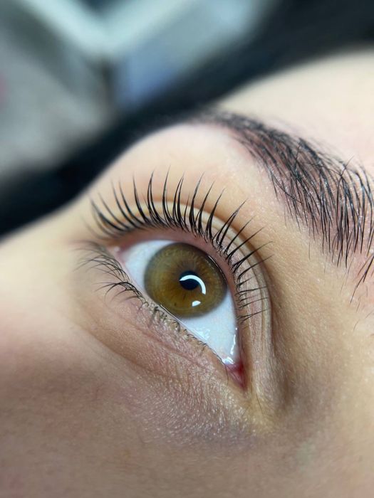 Ламінування вій, брів Одеса - Чорноморка, Совіньон.