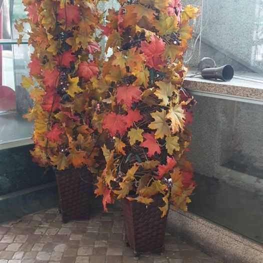 Decoracões Natal / Anjos Dourados