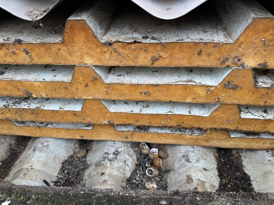 Telhas de sanduiche 4 novas