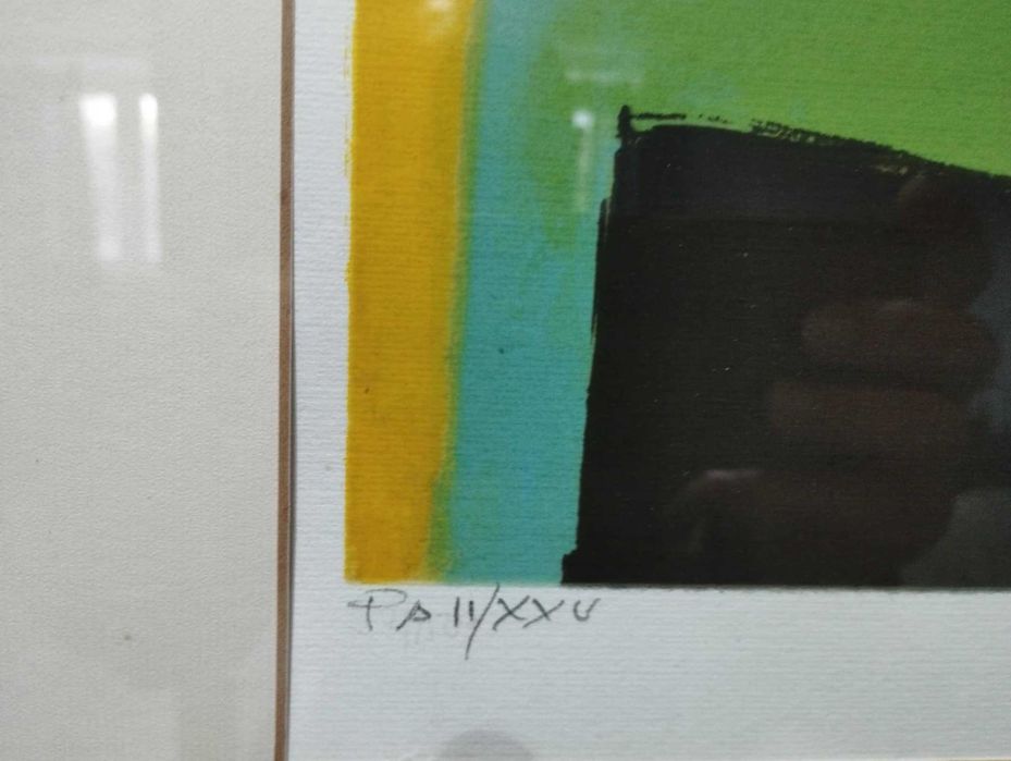 Serigrafia Chichorro