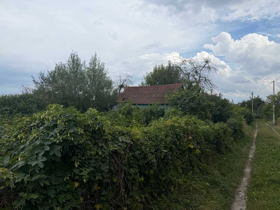 Ділянка в дачному масиві Дружба