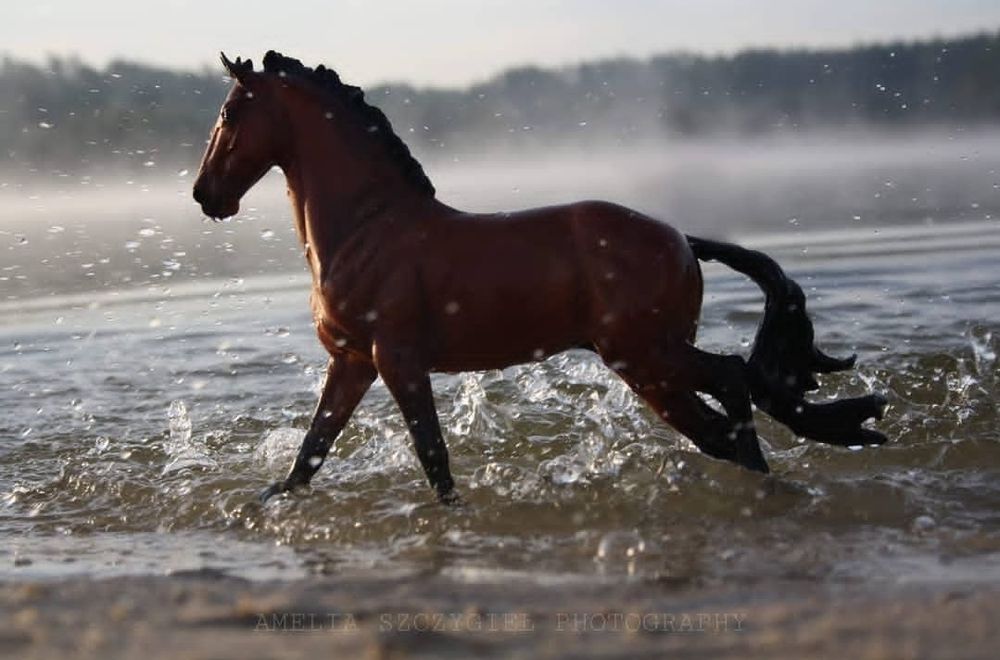 Copperfox Irish Sport 250sztuk świat (Breyer, Schleich)