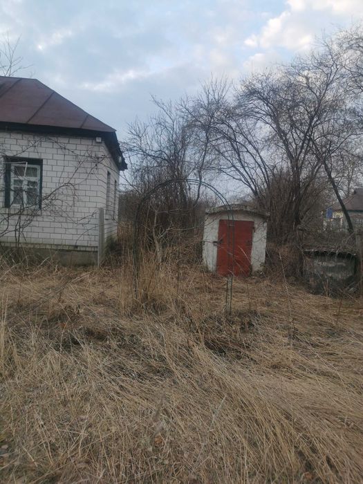 Без % продаж будинку с Нічогівка Козелецький р-н 36 соток Чернігівська