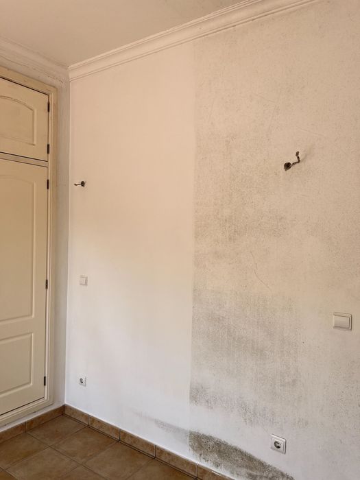 Remoção Profissional de Bolor e Mofo | Professional Mould Removal | Algarve