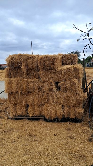 fardos de palha de feno pequenos