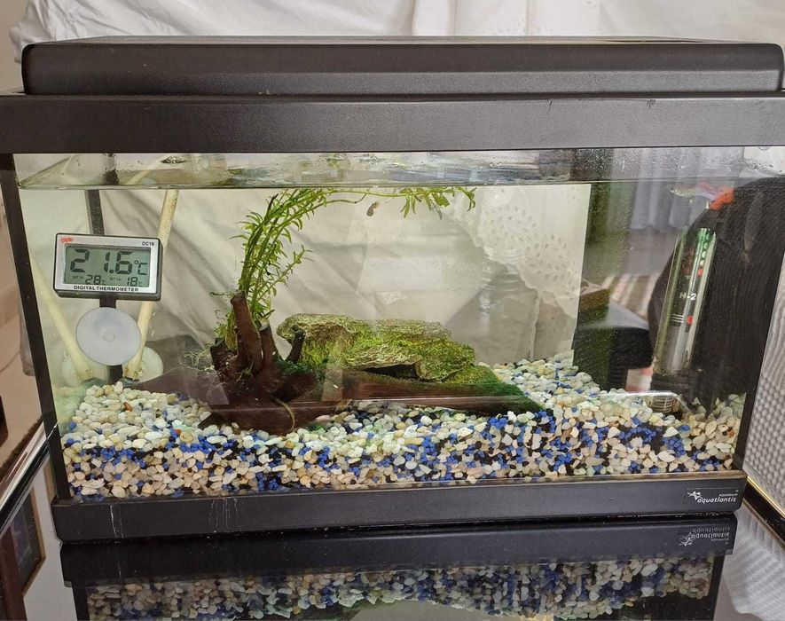 Aquário como novo